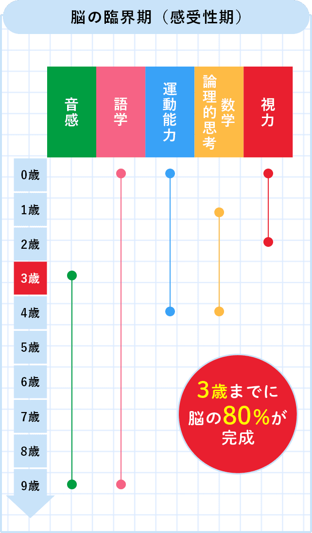 最も完璧な チャイルドアイズ思考力アドバンス43〜60＋資料集 参考書 