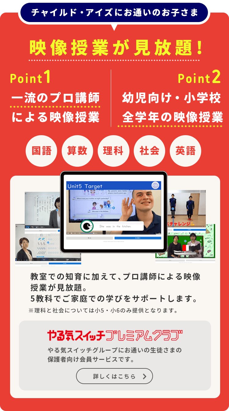 クリアランス通販 チャイルドアイズ教材 20、21期 一年生 知育玩具